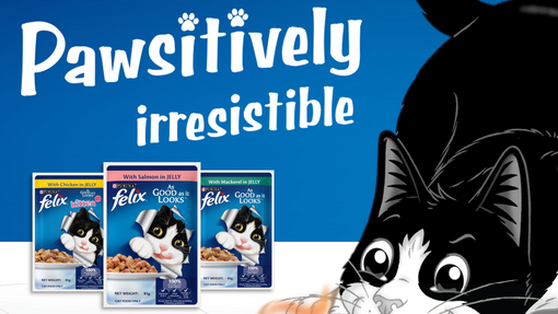 Felix purina cat clearance